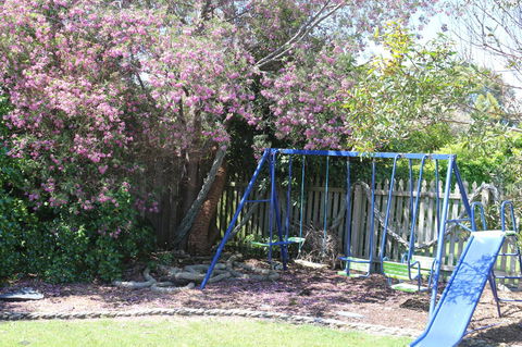 Sisters Beach Paradise - Dentist Find 2