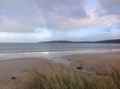 Summertime Cottage - Dentist Find 31