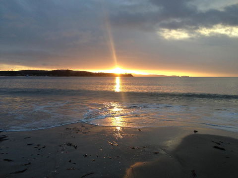 Summertime Cottage - Dentist Find 13