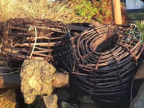 Summertime Cottage - Dentist Find 4