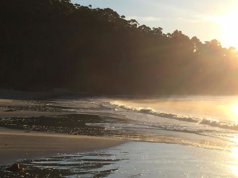 Summertime Cottage - Dentist Find 7