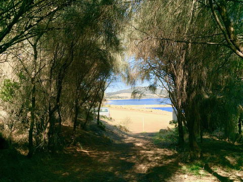 Manfield Seaside Bruny Island - Dentist Find 32
