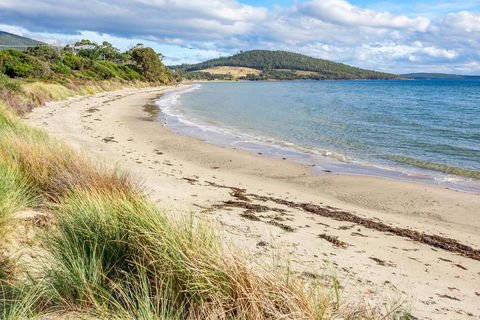 Omaroo Cottage Bruny Island - Dentist Find 14