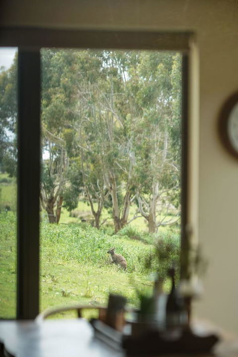 Adventure Bay Retreat Bruny Island - Dentist Find 7
