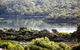 Sea Eagle Cottage - thumb 17