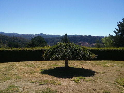 Robin's Nest B&B - Dentist Find 28