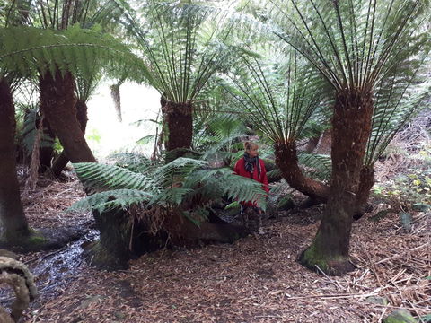 Robin's Nest B&B - Dentist Find 9