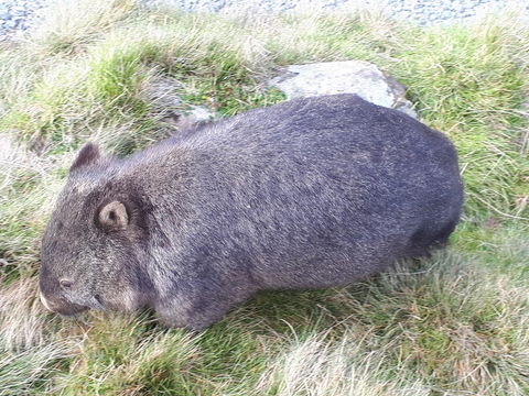 Robin's Nest B&B - Dentist Find 19