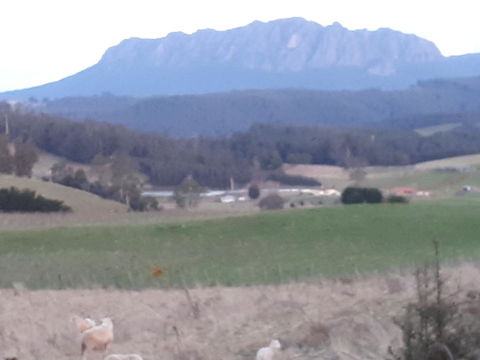 Robin's Nest B&B - Dentist Find 32