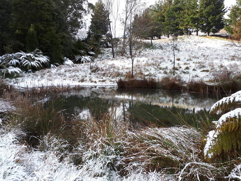 Robin's Nest B&B - Dentist Find 25