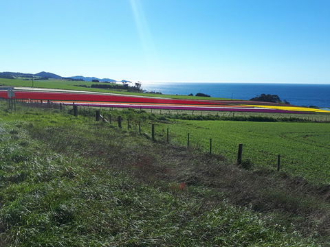 Robin's Nest B&B - Dentist Find 26