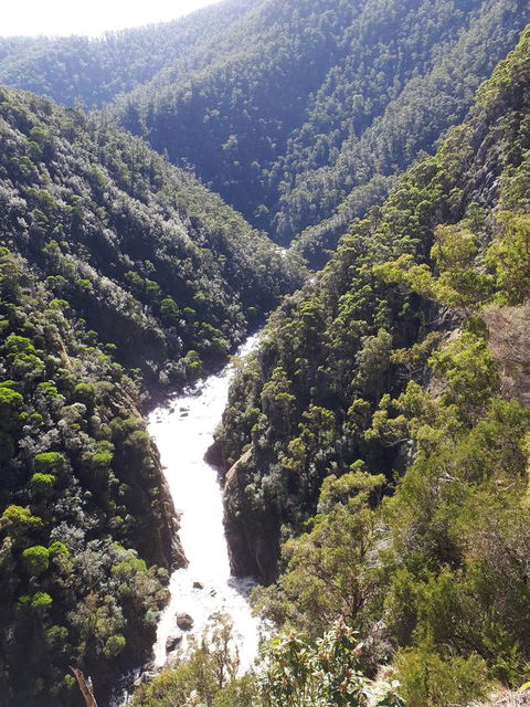 Robin's Nest B&B - Dentist Find 22