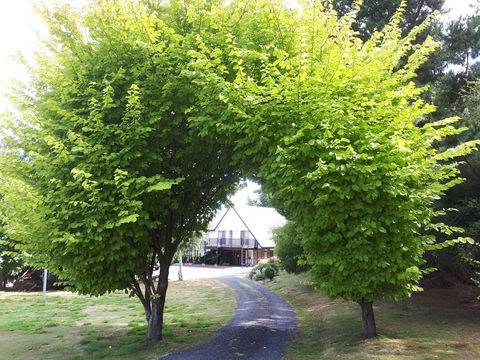 Robin's Nest B&B - Dentist Find 10