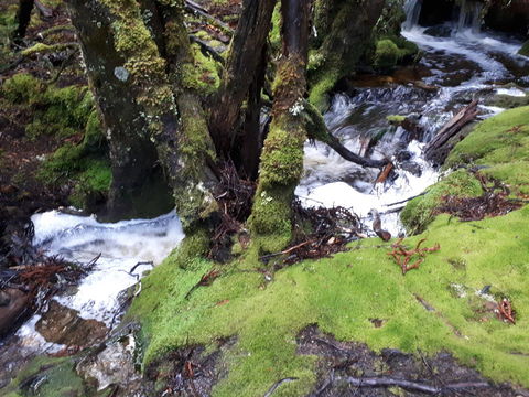 Robin's Nest B&B - Dentist Find 27