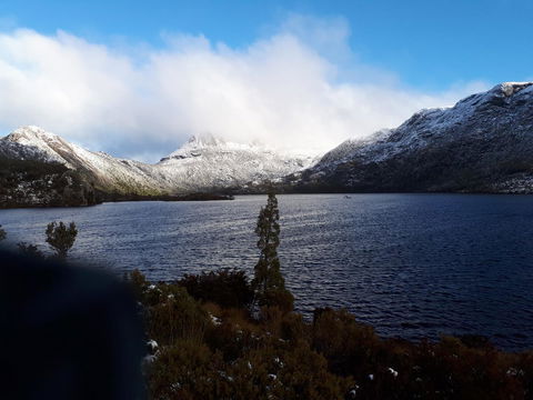 Robin's Nest B&B - Dentist Find 24