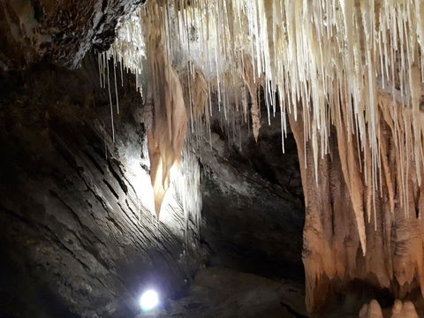 Robin's Nest B&B - Dentist Find 29