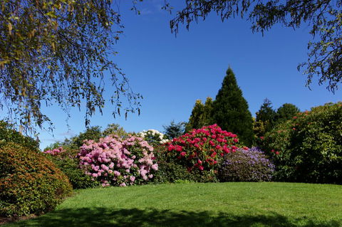 Highgrove - Dentist Search 15