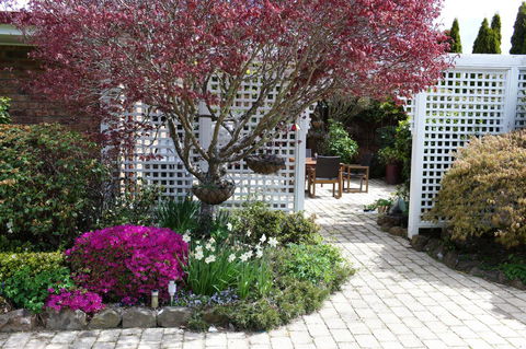 Highgrove - Dentist Search 12
