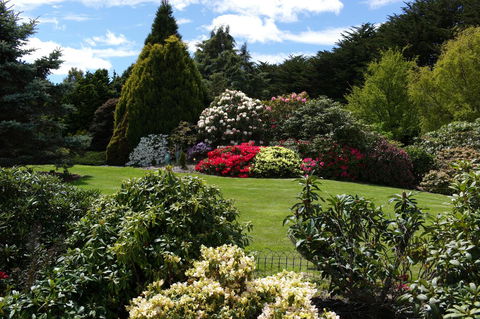 Highgrove - Dentist Search 18