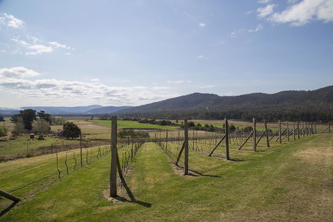 Twamley Farm - Dentists Australia 7