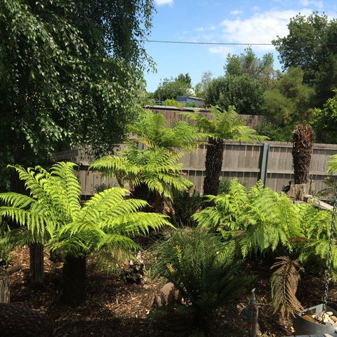 Pinestumps Holiday Home - Dentist Find 14