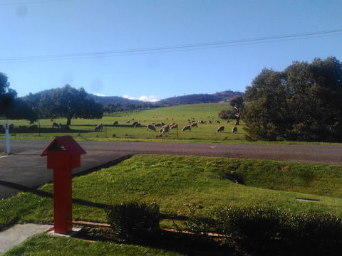 Pinestumps Holiday Home - Dentist Find 11