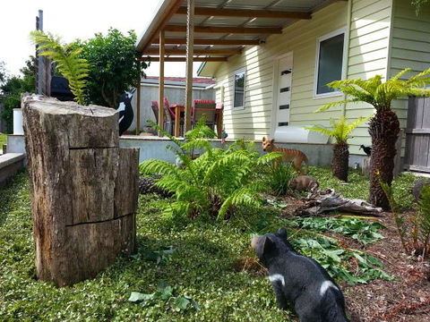 Pinestumps Holiday Home - Dentist Find 12