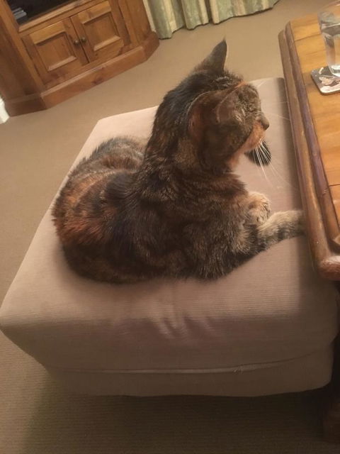 House On The Hill Bed And Breakfast - Dentists Australia 13