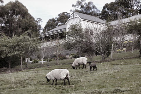 House On The Hill Bed And Breakfast - Dentists Australia 19
