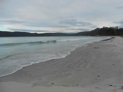 Bruny Ocean Cottage - Dentist Find 11