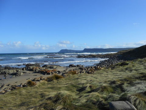 Bruny Ocean Cottage - Dentist Find 15