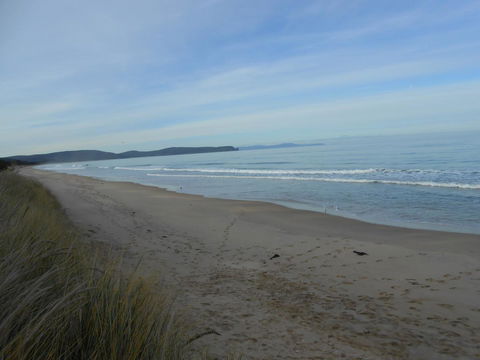 Bruny Ocean Cottage - Dentist Find 16