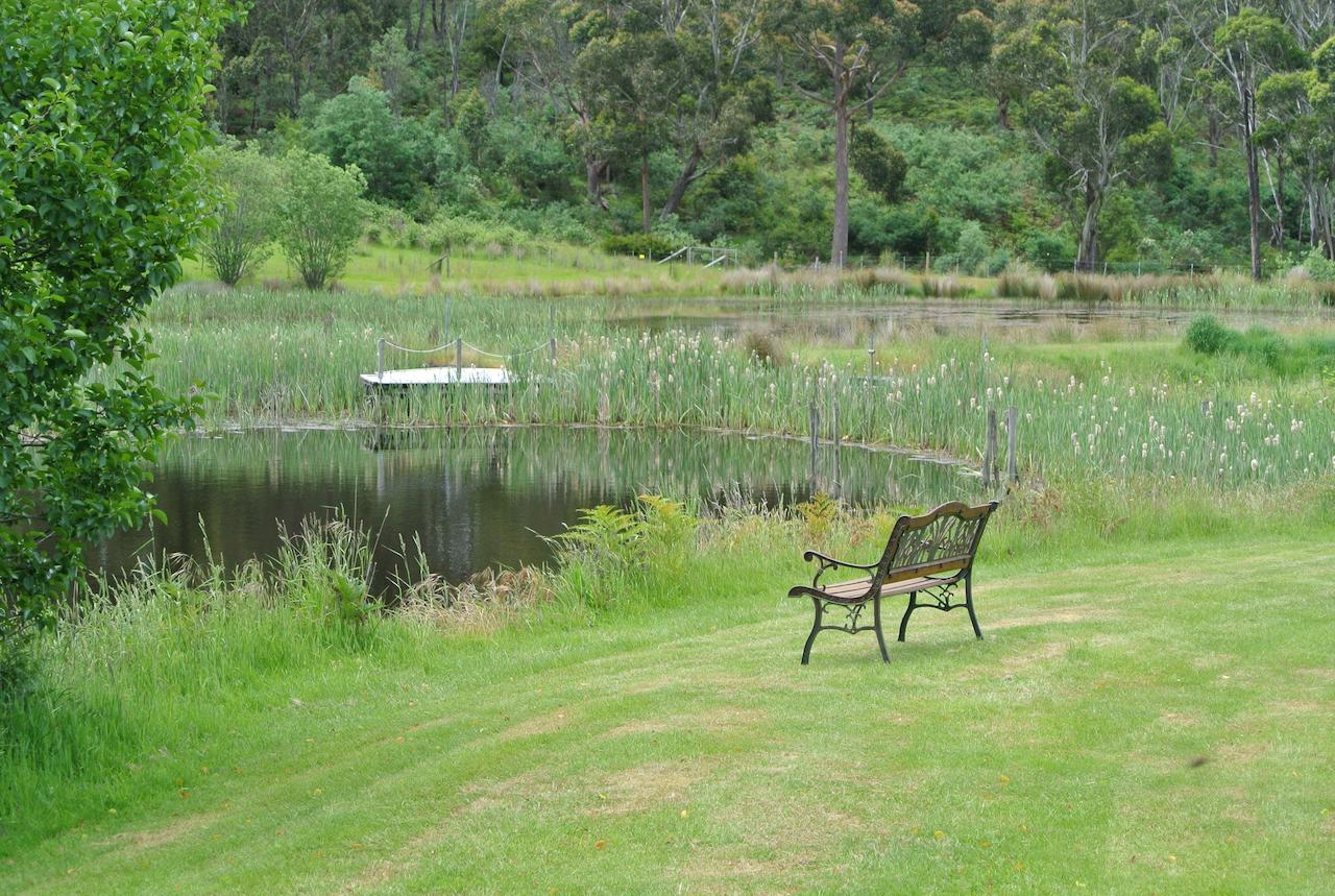 Hamlet Downs Country Accommodation