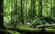 Corinna Wilderness Experience - thumb 37