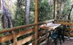 Corinna Wilderness Experience - thumb 32
