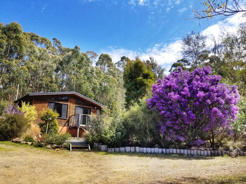 Southern Forest Accommodation - Dentist Find 10