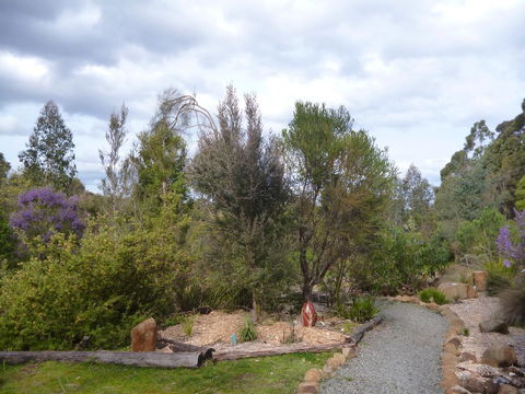Southern Forest Accommodation - Dentist Find 23