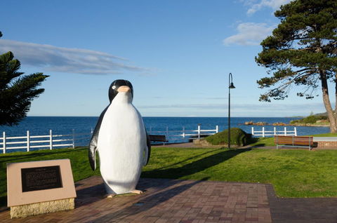 Penguin Beach House - Dentist Find 16