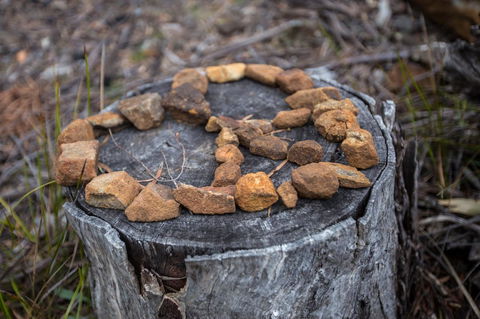 Rocky Hills Retreat - Dentist Search 15