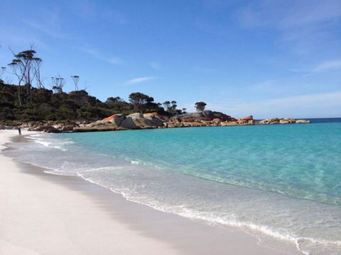 THE LOFT @ Bay Of Fires Seascape - Dentist Find 2