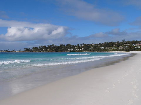 THE LOFT @ Bay Of Fires Seascape - Dentist Find 25