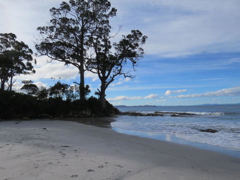 Captain Cook Holiday Park - Dentist Find 9