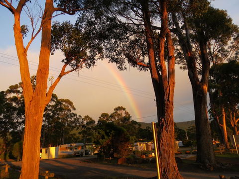 Captain Cook Holiday Park - Dentist Find 12