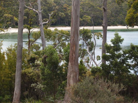 Stewarts Bay Lodge - Dentist Find 23