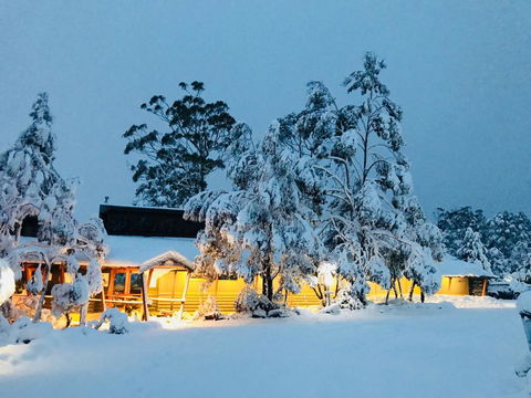Cradle Mountain Wilderness Village - Dentist Search 0