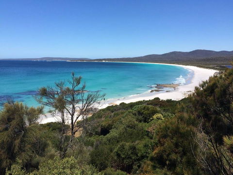 Holland House Bay Of Fires - Dentists Australia 15