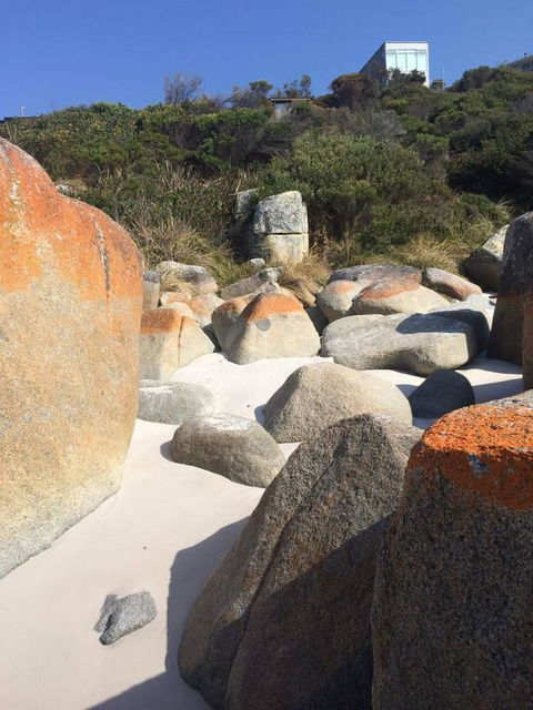 Holland House Bay Of Fires - Dentists Australia 5