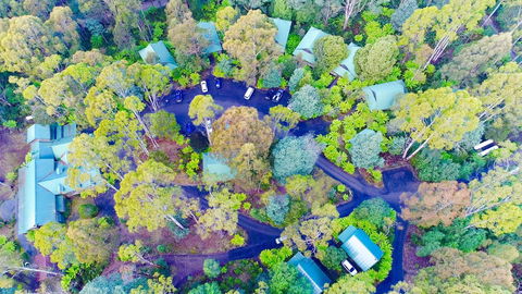 Lemonthyme Wilderness Retreat - Dentist Find 1