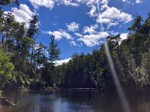 Lemonthyme Wilderness Retreat - Dentist Find 7