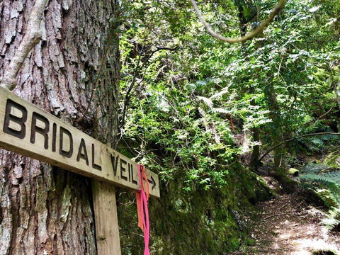 Lemonthyme Wilderness Retreat - Dentist Find 18